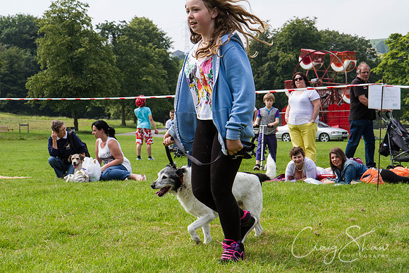 RSPCA Dog Day Afternoon