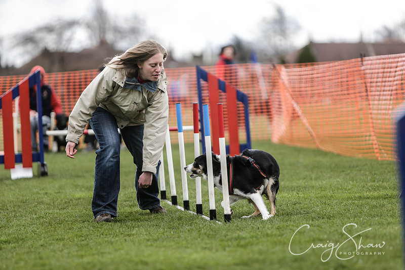 283__SpringersFunDay_March2014_bluplanetphoto