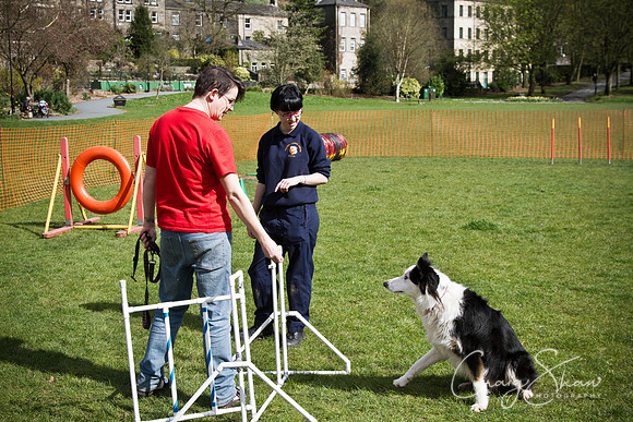 Hebden Happy Hounds RSPCA day