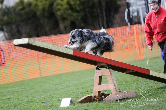 477__SpringersFunDay_March2014_bluplanetphoto