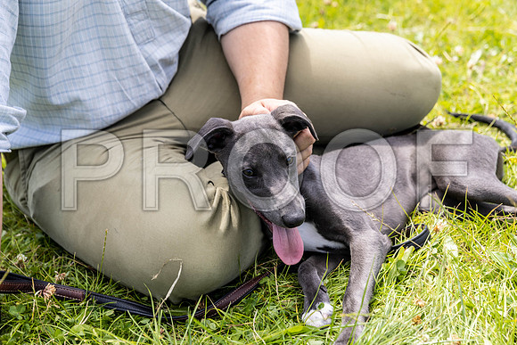 1540__PAWSFundogShow_July2022_cshaw