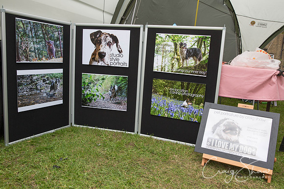 920_BarkintheParkHuddersfield_2014_bluplanetphoto