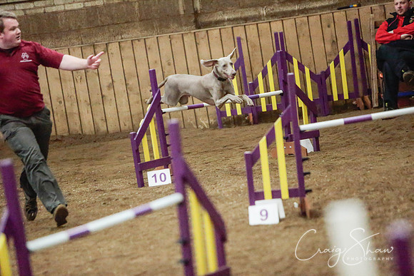 1673_SpringFling2014_bluplanetphoto