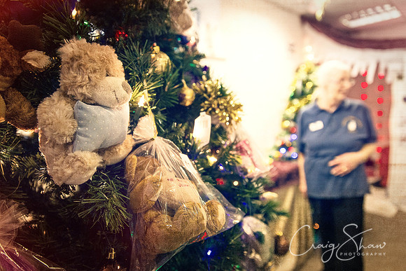 118_RSPCA_Christmas_Dec2013_bluplanetphoto