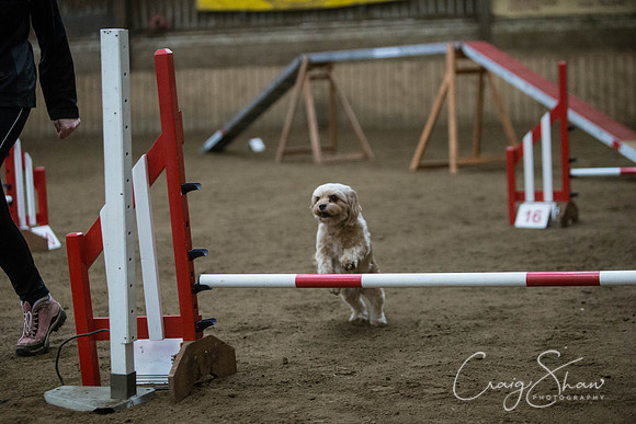 1572_springfling2015_bluplanetphoto