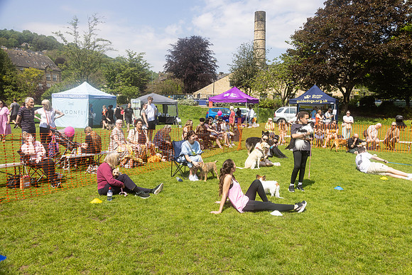 2230_HebdensHappyHounds2024_Cshaw-