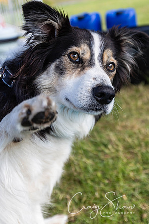 64_TodCountryFair2018_craigshawphoto