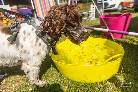 791_TodCountryFair2018_craigshawphoto