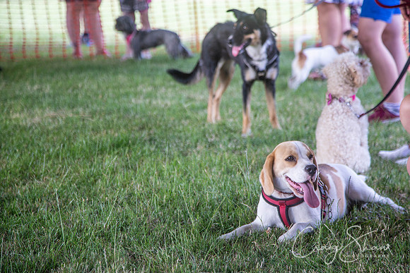 901_TodCountryFair2018_craigshawphoto