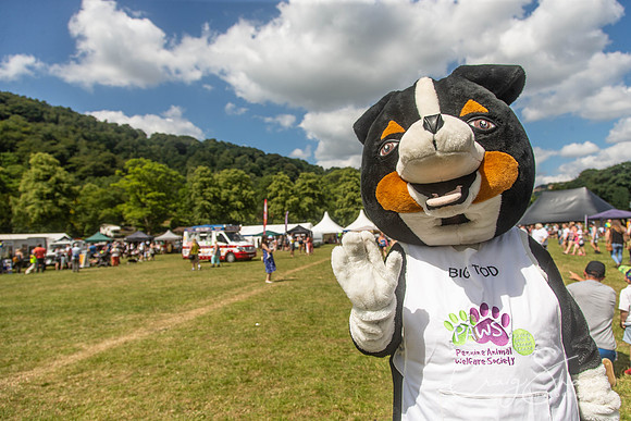 1317_TodCountryFair2018_craigshawphoto