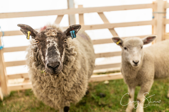1421_TodCountryFair2018_craigshawphoto