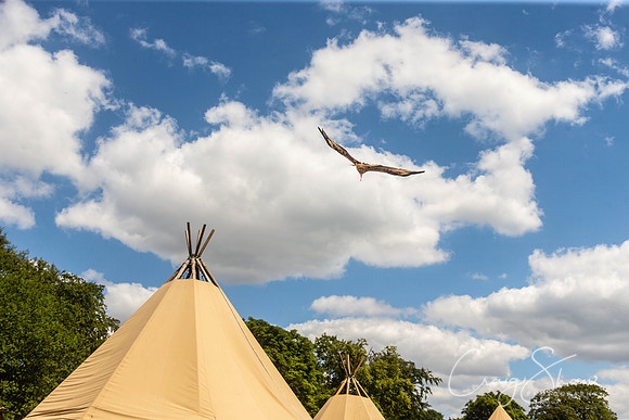 1711_TodCountryFair2018_craigshawphoto