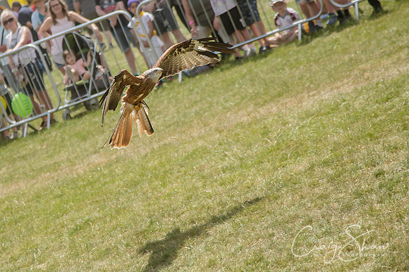 1723_TodCountryFair2018_craigshawphoto