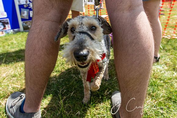 1344_TodCountryFair2018_craigshawphoto
