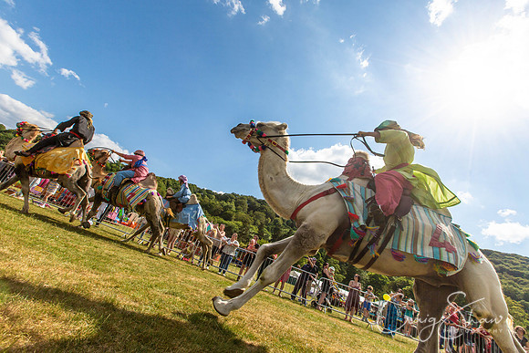 2276_TodCountryFair2018_craigshawphoto