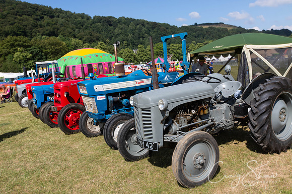 162_TodCountryFair2018_craigshawphoto
