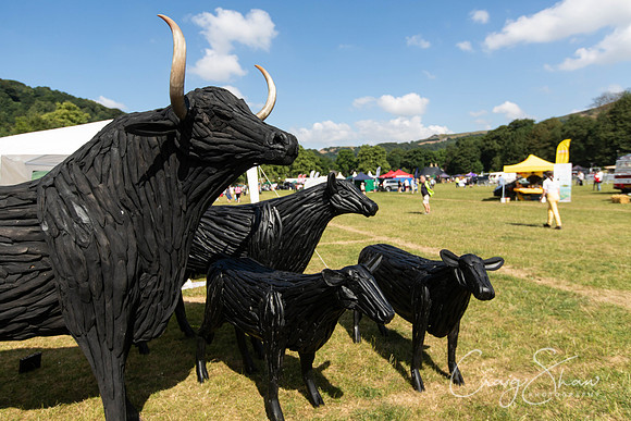192_TodCountryFair2018_craigshawphoto
