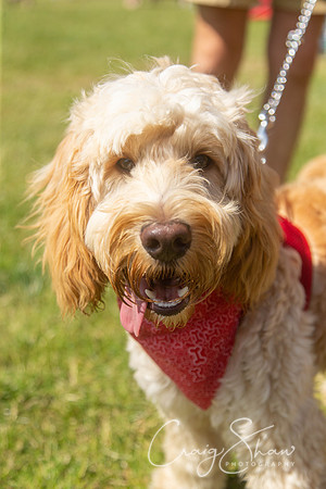 933_TodCountryFair2018_craigshawphoto