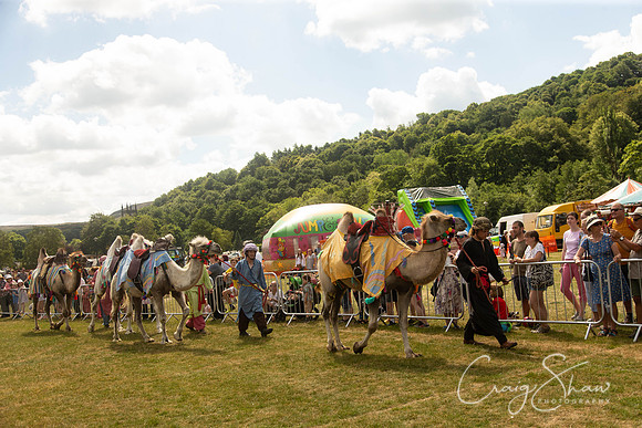 1156_TodCountryFair2018_craigshawphoto