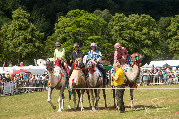 1195_TodCountryFair2018_craigshawphoto