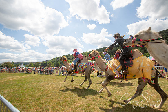 1292_TodCountryFair2018_craigshawphoto