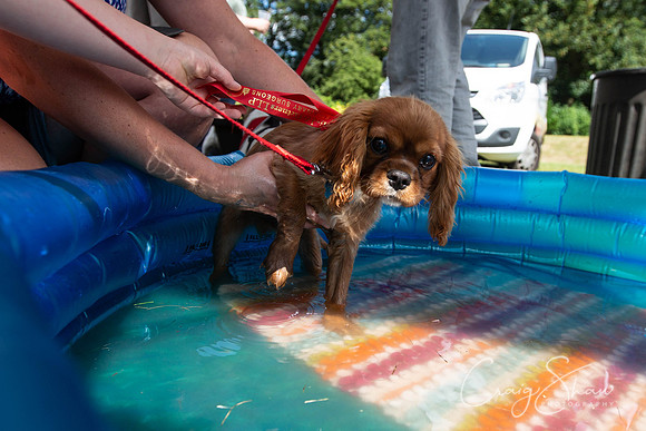 1331_TodCountryFair2018_craigshawphoto