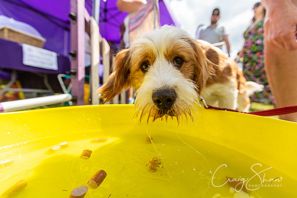1342_TodCountryFair2018_craigshawphoto