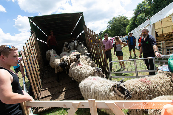 1378_TodCountryFair2018_craigshawphoto