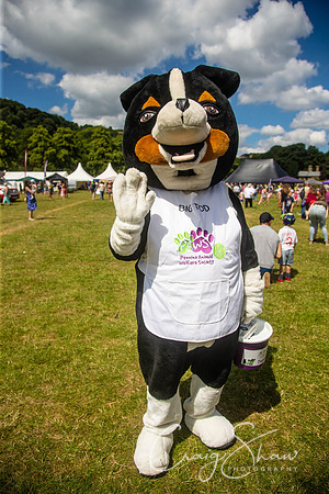 1316_TodCountryFair2018_craigshawphoto