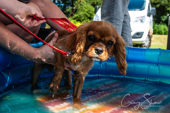 1332_TodCountryFair2018_craigshawphoto