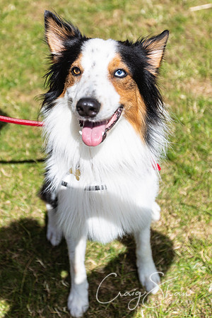 1583_TodCountryFair2018_craigshawphoto