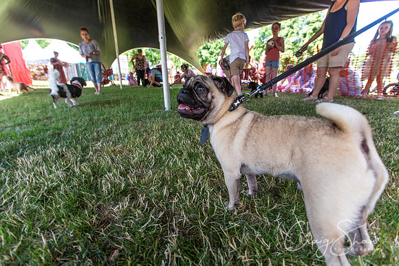 1599_TodCountryFair2018_craigshawphoto