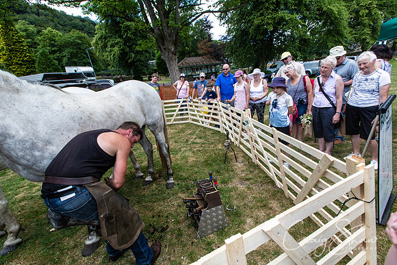 1637_TodCountryFair2018_craigshawphoto