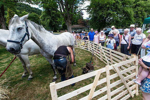 1639_TodCountryFair2018_craigshawphoto