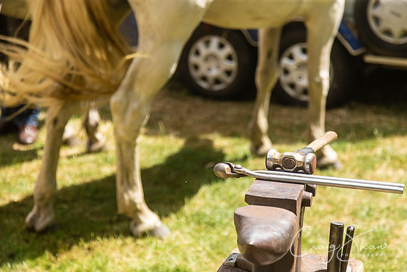 1646_TodCountryFair2018_craigshawphoto