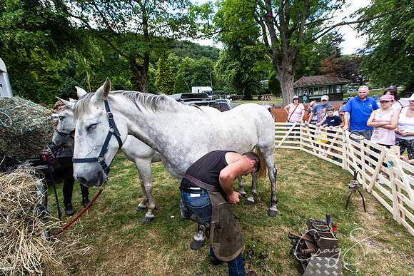 1649_TodCountryFair2018_craigshawphoto