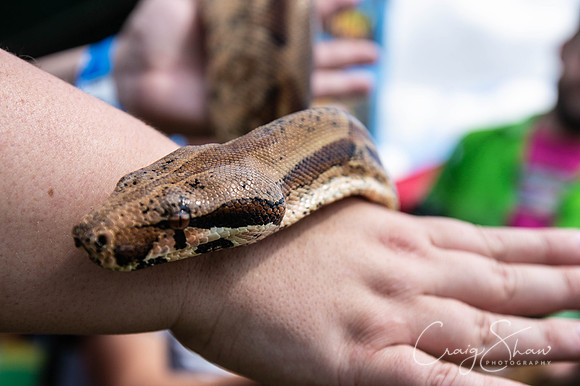 1672_TodCountryFair2018_craigshawphoto