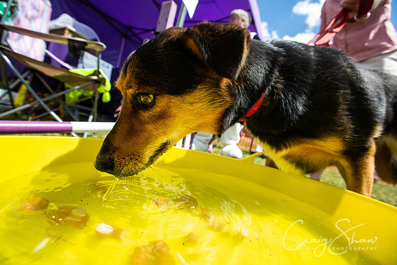 1843_TodCountryFair2018_craigshawphoto