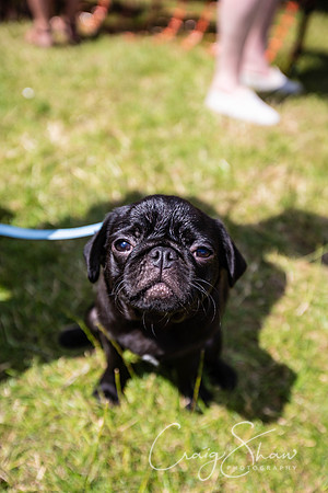 1853_TodCountryFair2018_craigshawphoto