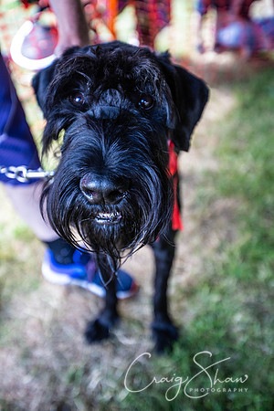 1926_TodCountryFair2018_craigshawphoto