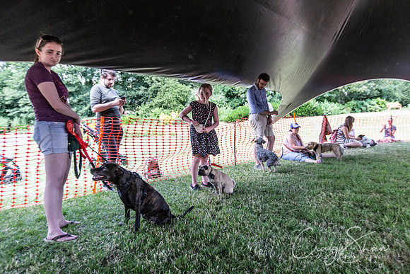 1933_TodCountryFair2018_craigshawphoto