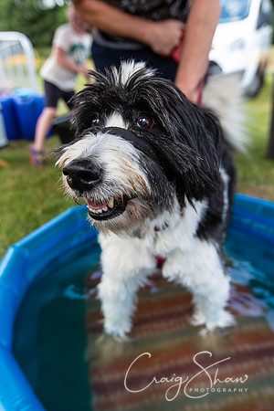 1977_TodCountryFair2018_craigshawphoto