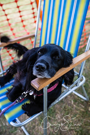 1987_TodCountryFair2018_craigshawphoto