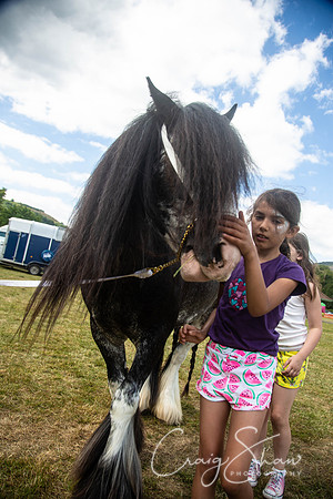 2025_TodCountryFair2018_craigshawphoto
