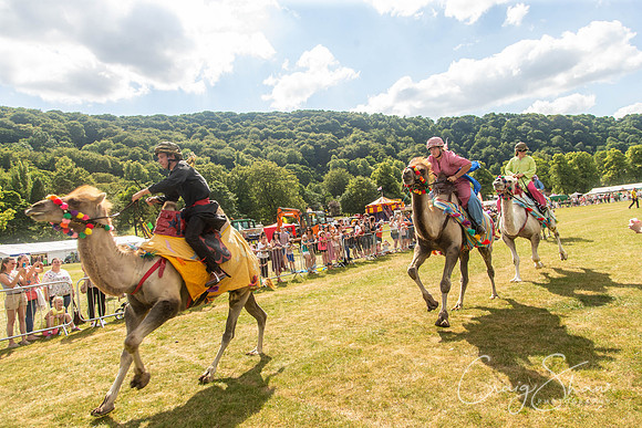 2244_TodCountryFair2018_craigshawphoto