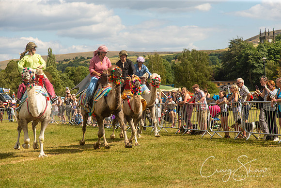 2256_TodCountryFair2018_craigshawphoto