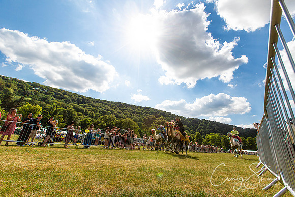 2264_TodCountryFair2018_craigshawphoto