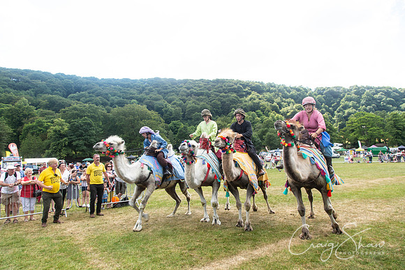 2366_TodCountryFair2018_craigshawphoto