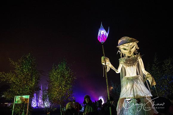 3168_lamplighter2016_craigshaw