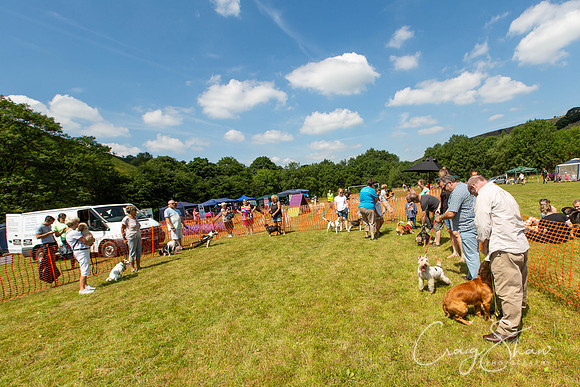 360_PAWSFunday2018_craigshawphoto